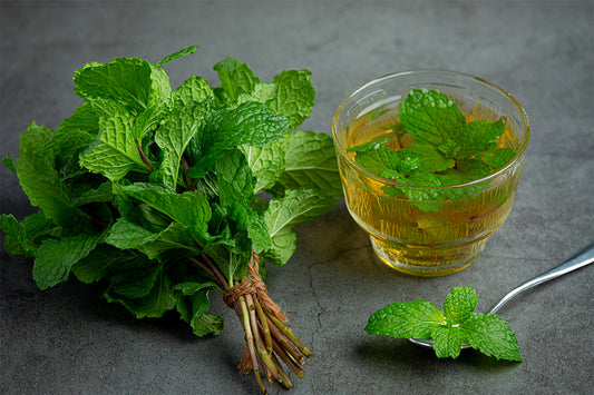 Does peppermint tea help with headaches?